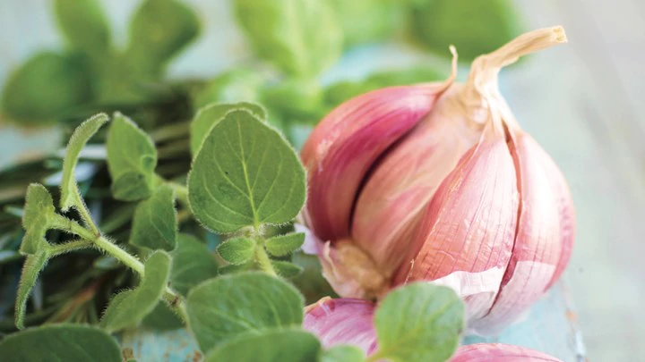 صيانة-وايت بوينت.webp